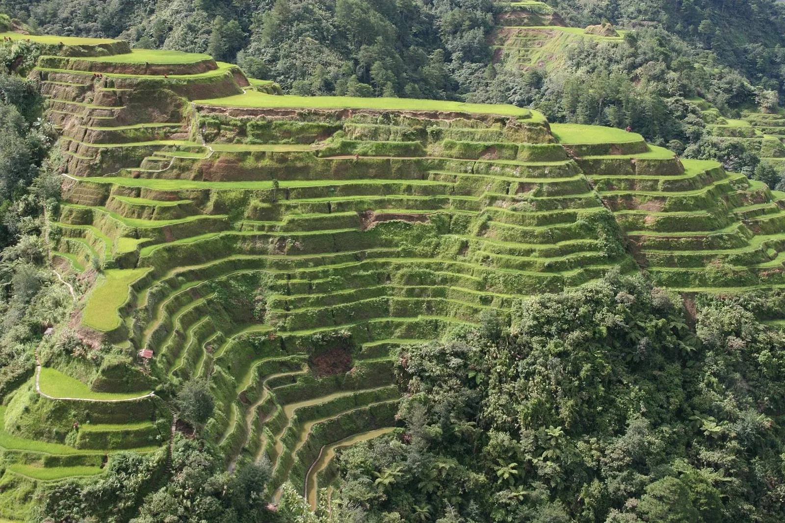 Banaue rice terraces