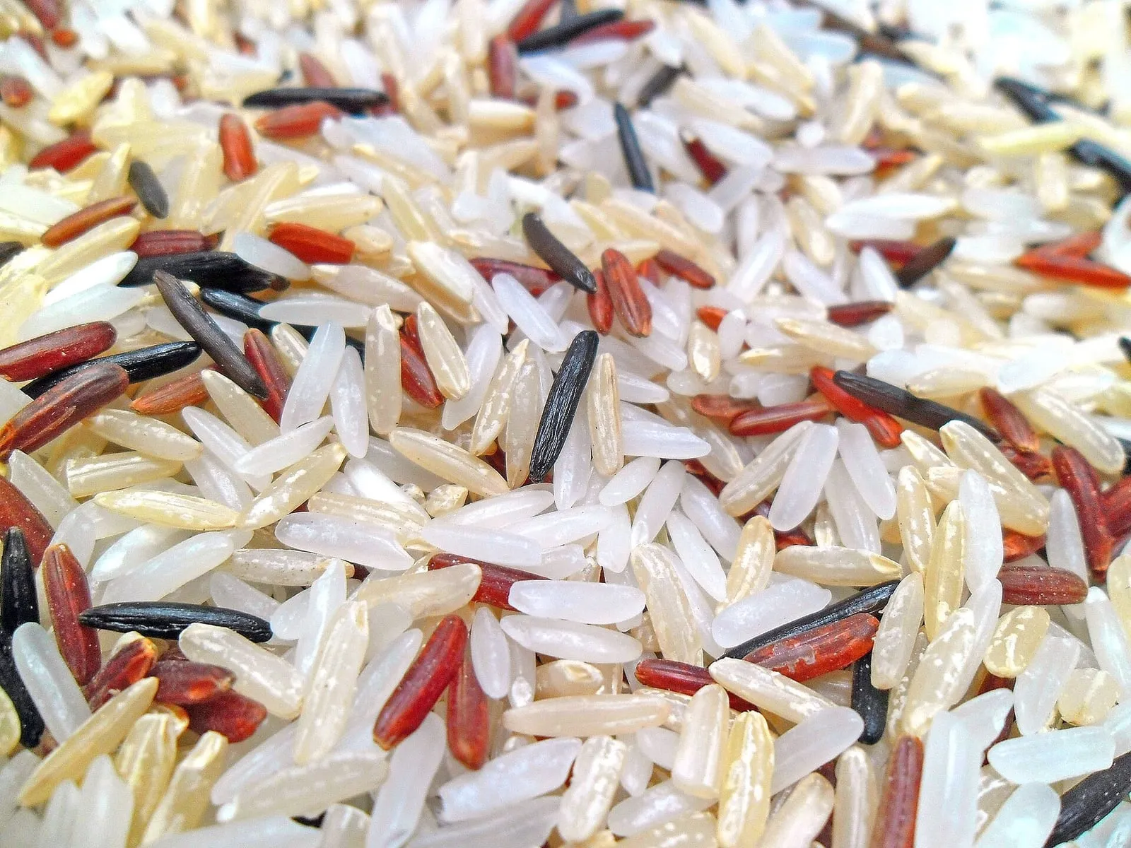 Four kinds of rice